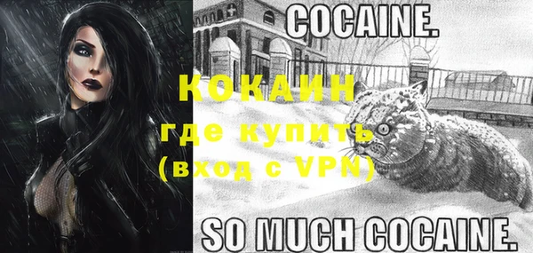 амф Осинники
