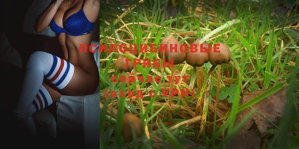 не бодяженный Осташков