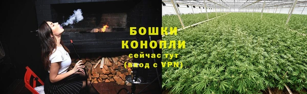 амф Осинники