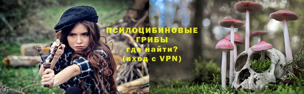 амф Осинники