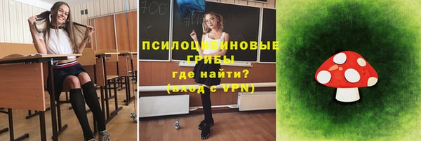 амф Осинники