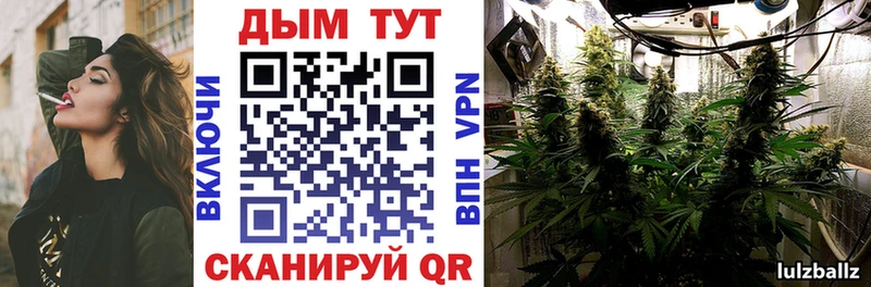 Конопля ГИДРОПОН  Белоусово 